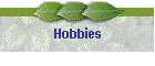 Hobbies