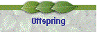 Offspring